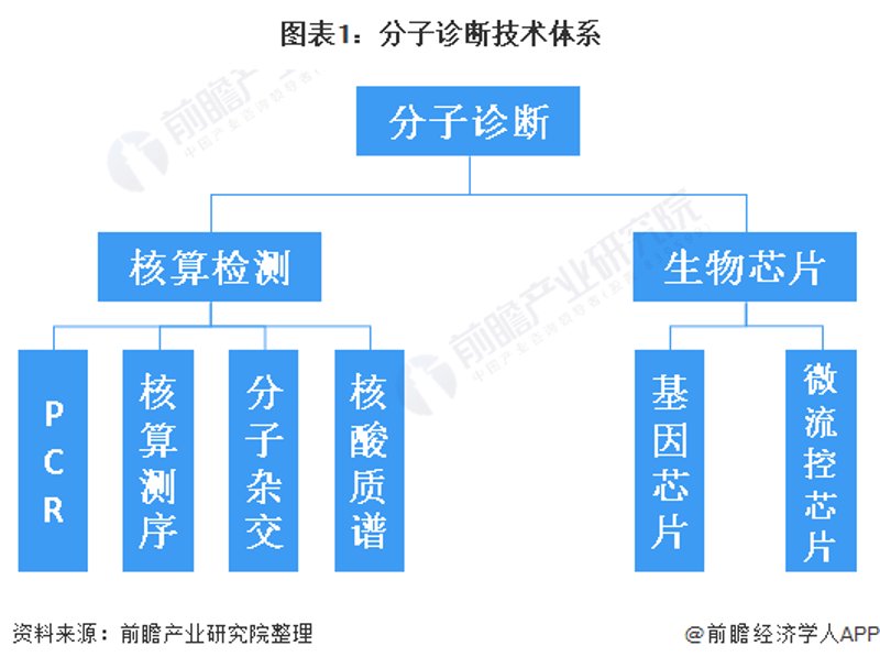 细胞治疗技术：推动生命科学新篇章